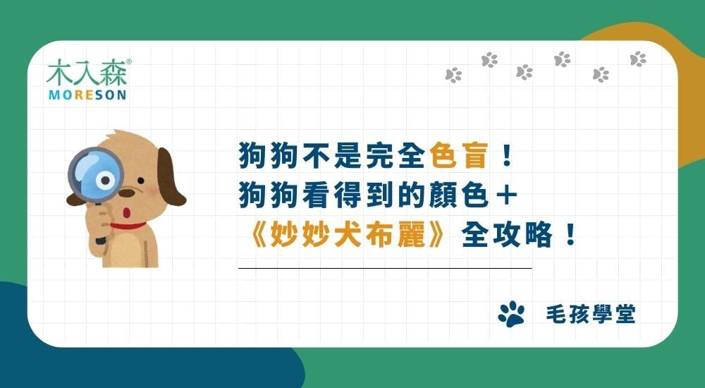 狗狗不是完全色盲！狗狗看得到的顏色＋《妙妙犬布麗》全攻略！