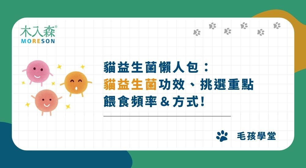 貓益生菌懶人包：貓益生菌功效、挑選重點、餵食頻率＆方式！