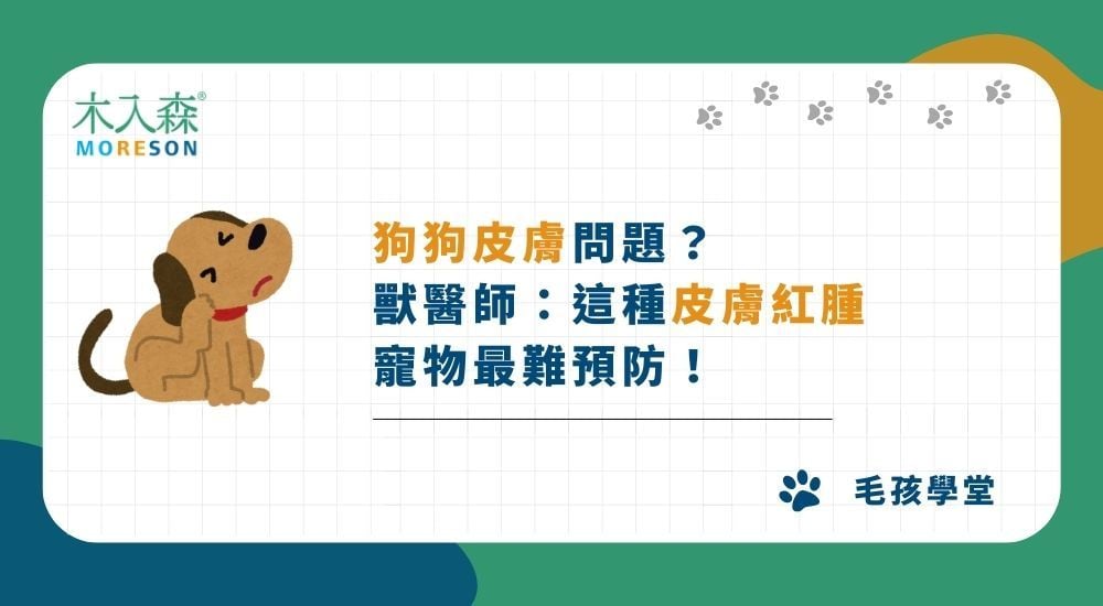 狗狗皮膚問題？獸醫師：這種皮膚紅腫，寵物最難預防！