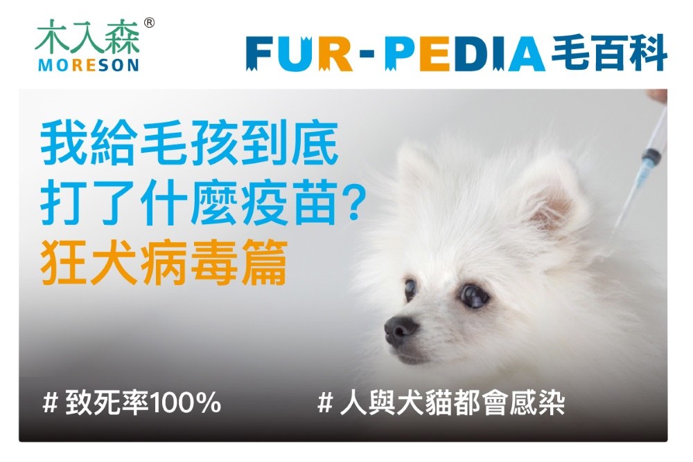 我給毛孩到底打了什麼疫苗?-狂犬病毒篇