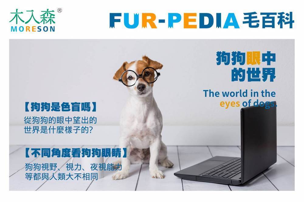 狗狗眼中的世界