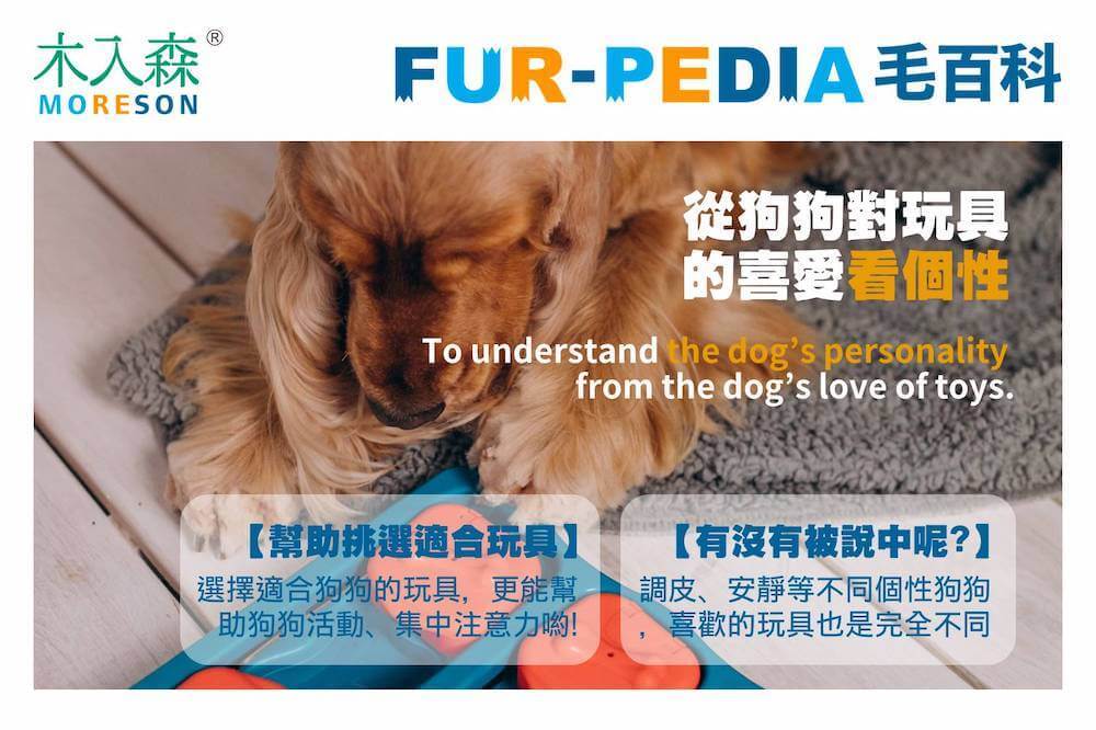 從狗狗對玩具的喜愛看個性