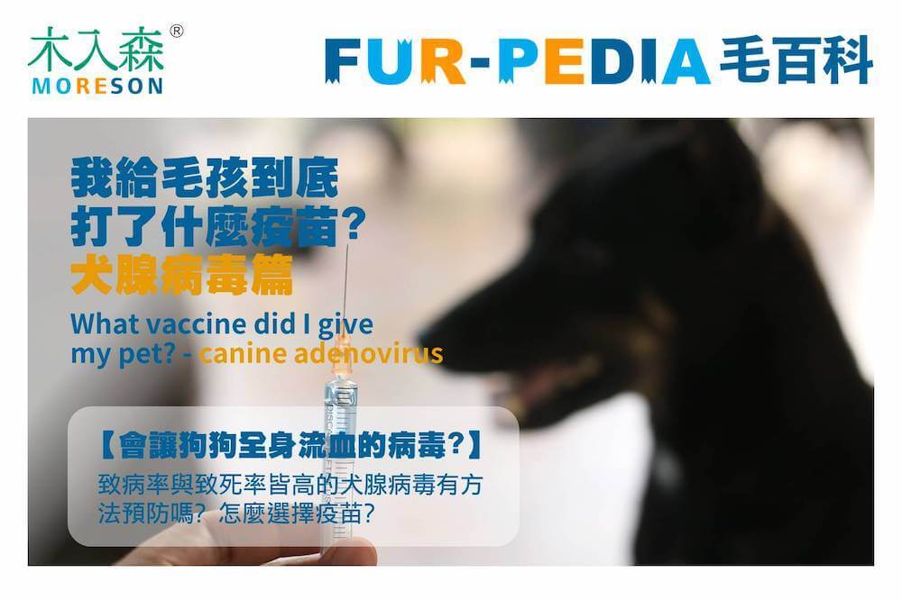 我給毛孩到底打了什麼疫苗?-犬腺病毒篇