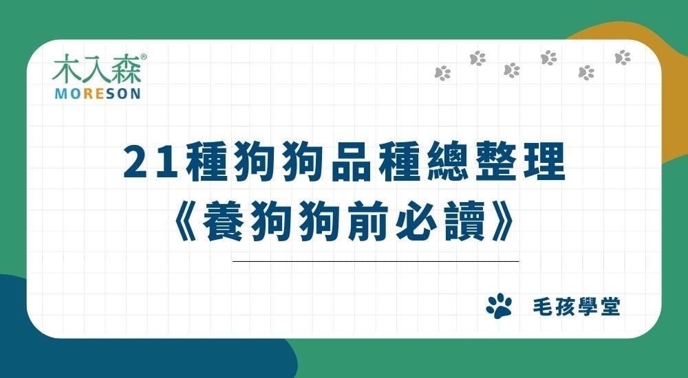 21種狗狗品種總整理｜養狗狗前必讀
