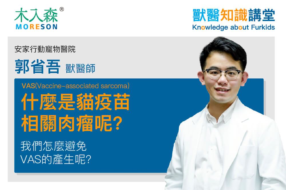 什麼是貓疫苗相關肉瘤VAS(Vaccine-associated sarcoma)呢?我們怎麼避免VAS的產生呢?