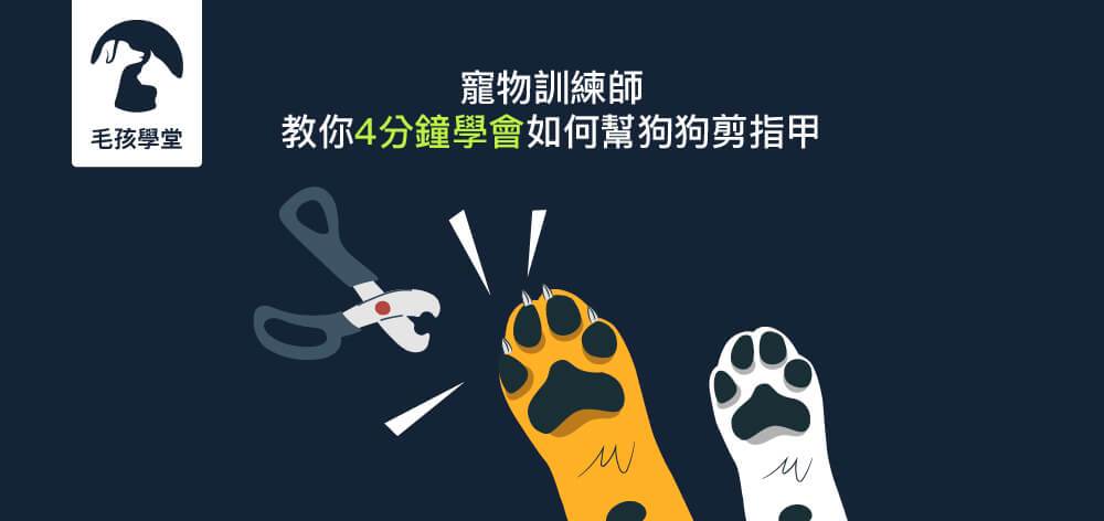 寵物訓練師教你4分鐘學會如何幫狗狗剪指甲