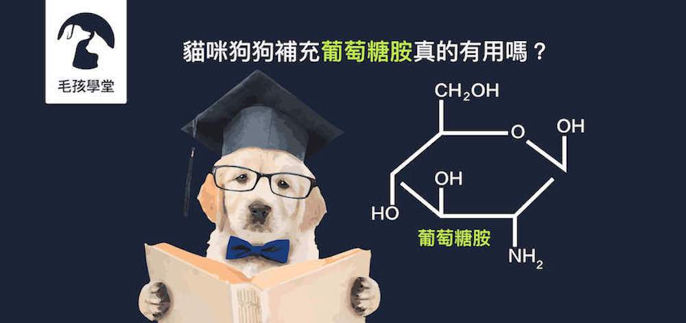 貓咪狗狗補充葡萄糖胺真的有用嗎？營養師來告訴你
