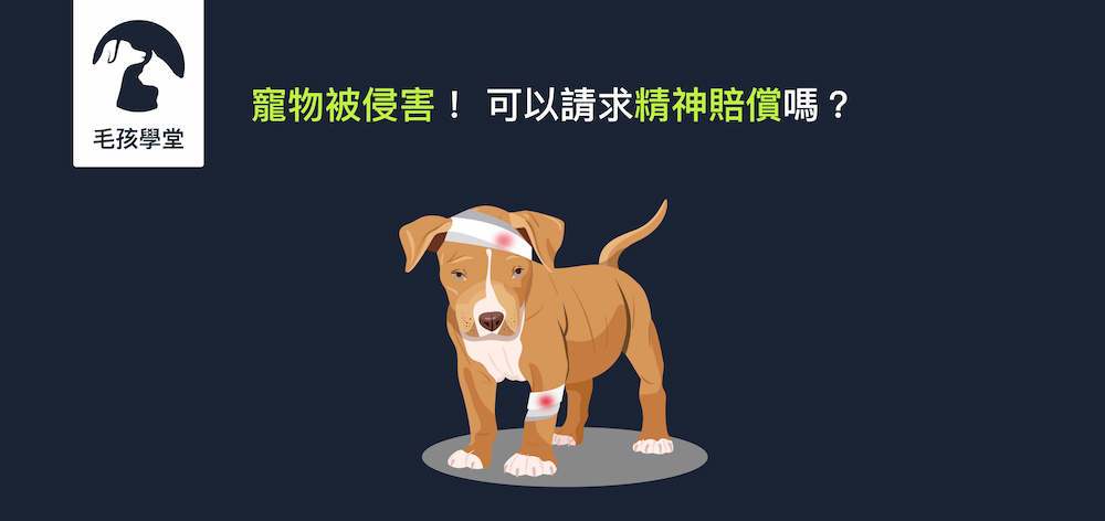 寵物被侵害！ 可以請求精神賠償嗎？