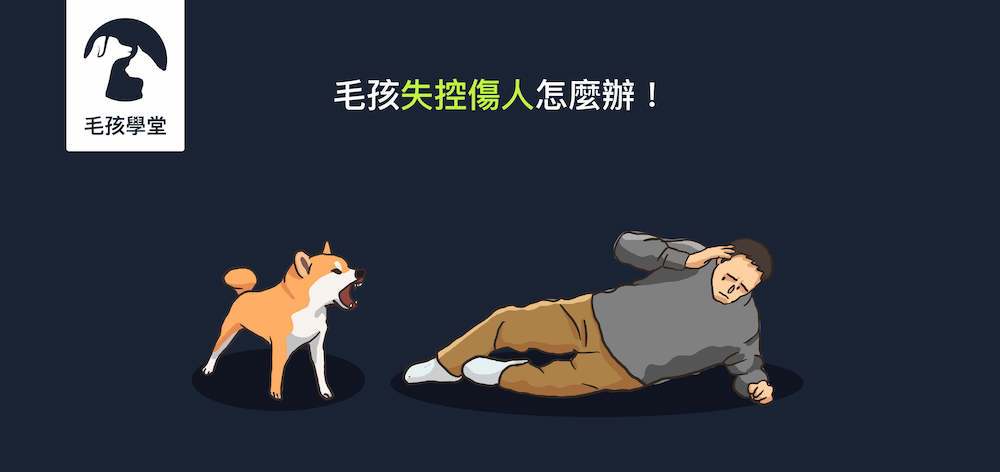 律師告訴你！你的毛孩失控傷人怎麼辦！