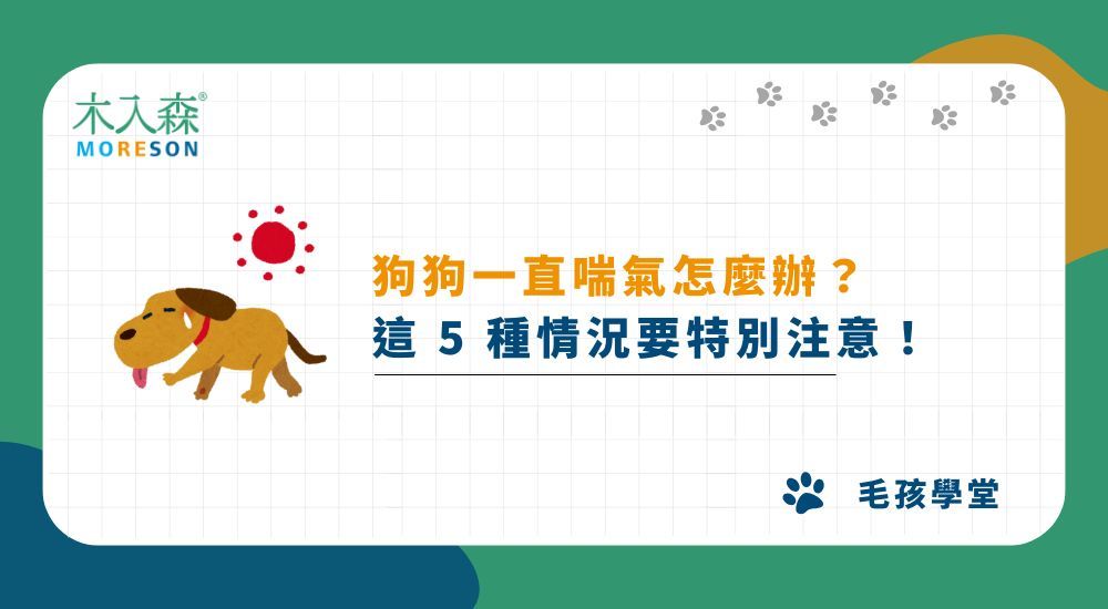 狗狗一直喘氣怎麼辦？這 5 種情況要特別注意！