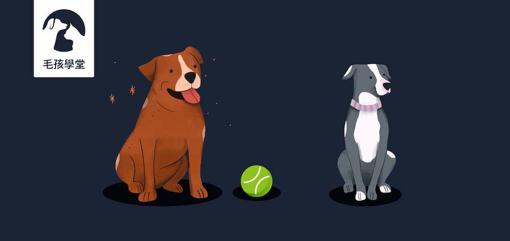 狗狗真的喜歡跟狗狗玩嗎？其實並不是每隻狗都喜歡跟其他狗玩！