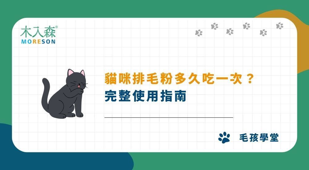 貓咪排毛粉多久吃一次？完整使用指南