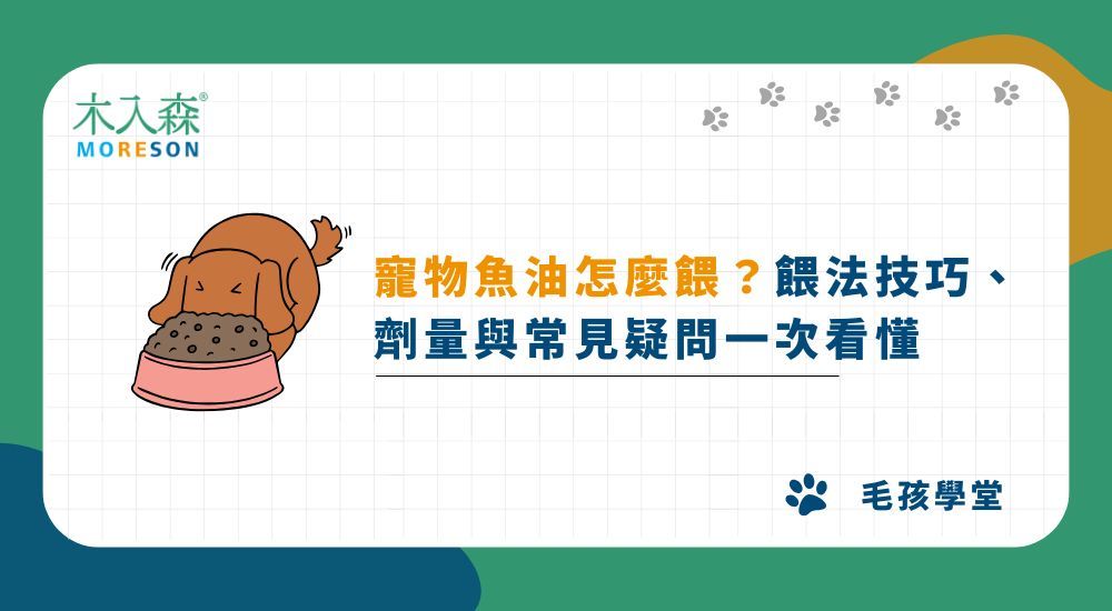 寵物魚油怎麼餵？餵法技巧、劑量與常見疑問一次看懂