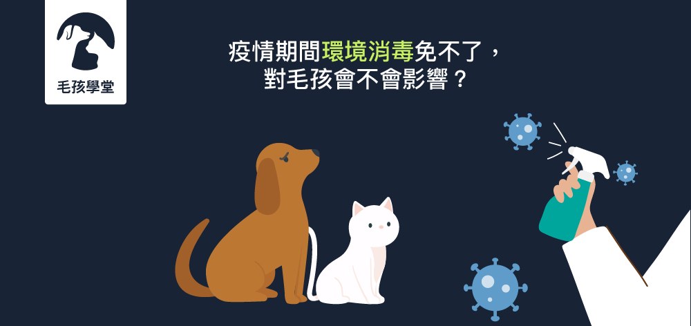 疫情期間環境消毒免不了，對毛孩會不會影響？