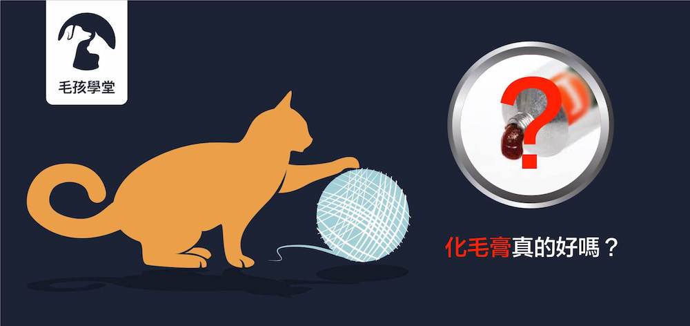 化毛膏真的好嗎？了解化毛膏對貓咪的健康隱憂