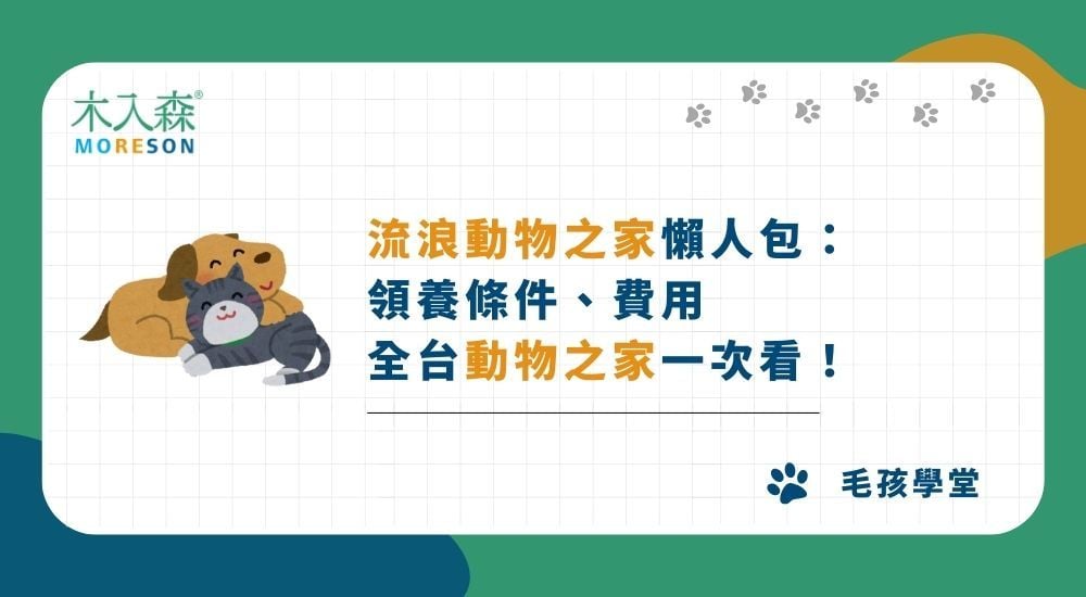 流浪動物之家懶人包：領養條件、費用與全台動物之家一次看！
