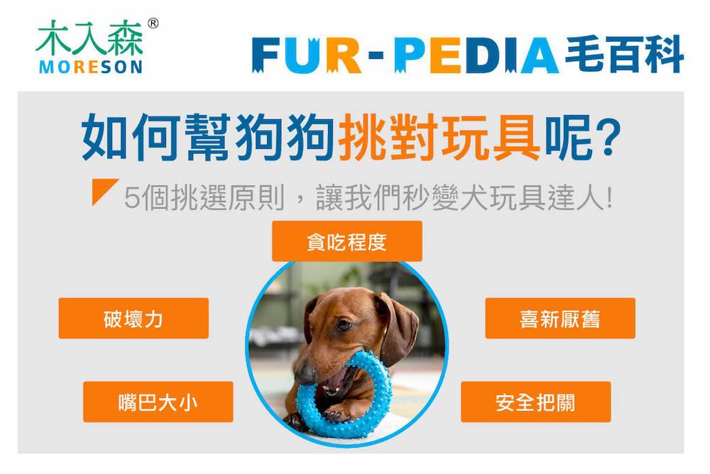 如何幫狗狗挑對玩具呢?
