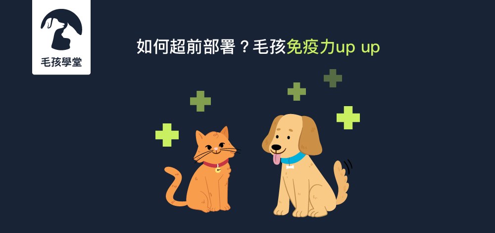 如何超前部署？毛孩免疫力 up up
