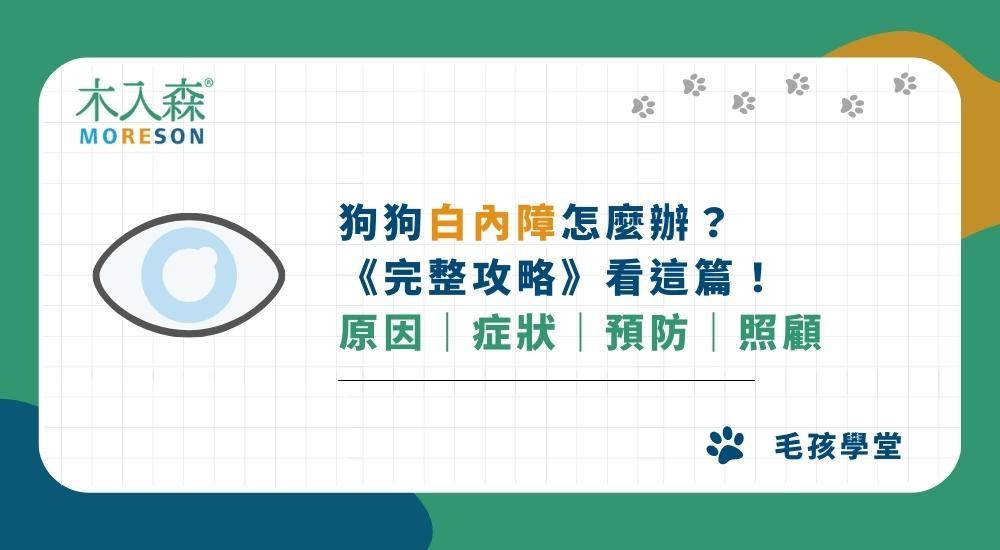 狗狗白內障怎麼辦？2026《完整攻略》看這篇！