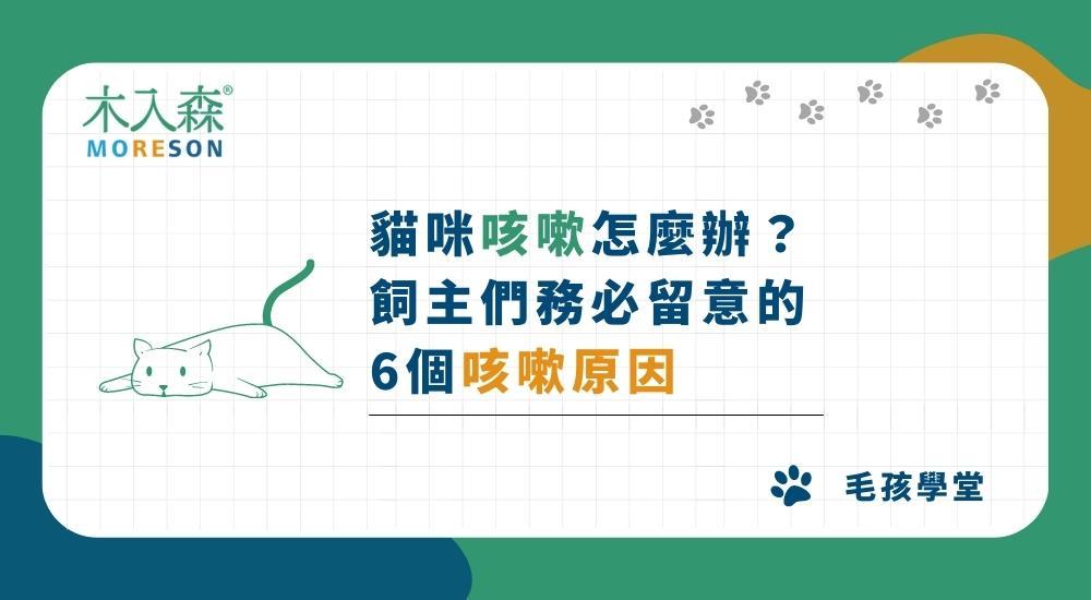 貓咪咳嗽怎麼辦？是新冠肺炎嗎？飼主們務必留意的6個貓咪咳嗽原因