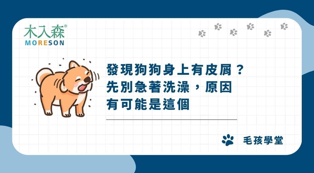 發現狗狗身上有皮屑？先別急著洗澡，原因有可能是這個