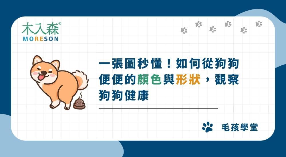 一張圖秒懂！如何從狗狗便便的顏色與形狀，觀察狗狗健康