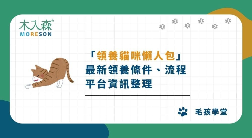 【領養貓咪懶人包】最新領養條件、流程、平台資訊整理