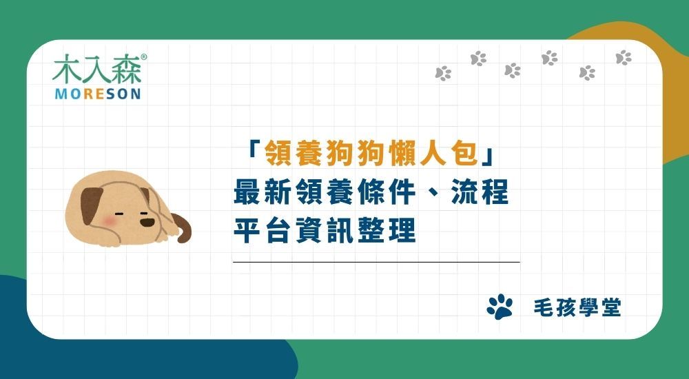 【領養狗狗懶人包】 哪裡可以免費領養狗狗？最新領養條件、流程、平台資訊整理