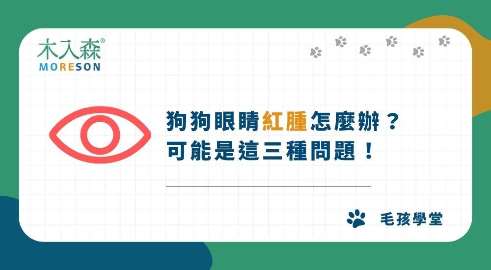 狗狗眼睛紅腫怎麼辦？小心可能是這三種問題！
