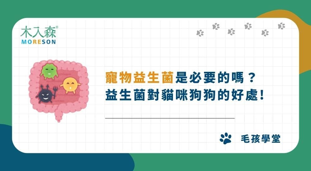 寵物益生菌是必要的嗎？益生菌對貓咪狗狗有什麼好處？