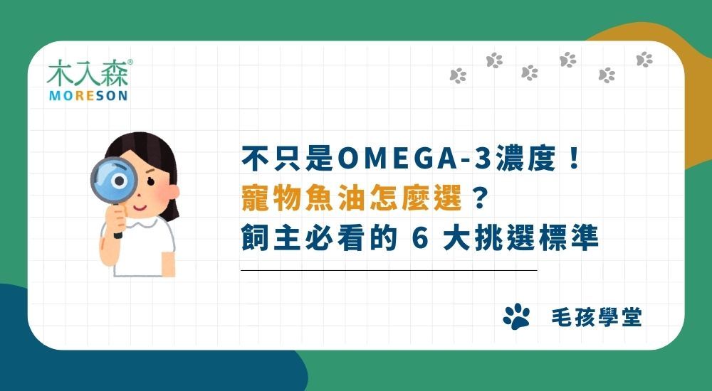 不只是Omega-3濃度！寵物魚油怎麼選？飼主必看的 6 大挑選標準