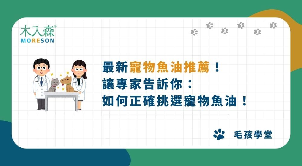 【2026】最新寵物魚油推薦：讓專家告訴你如何正確挑選寵物魚油！
