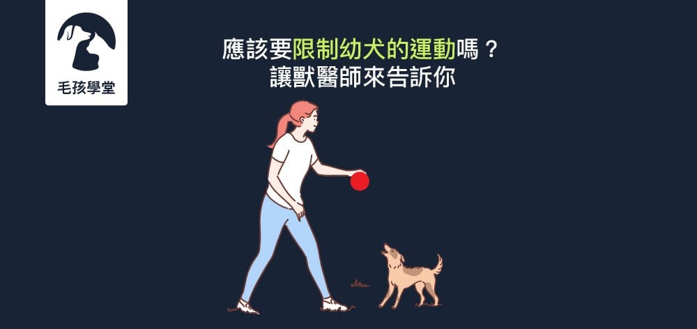 應該要限制幼犬的運動嗎？讓獸醫師來告訴你