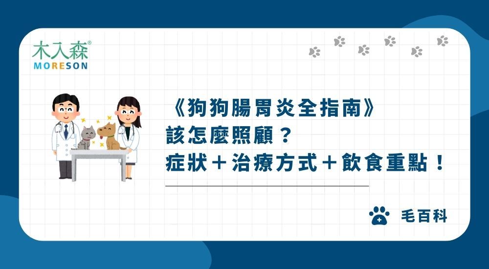 《狗狗腸胃炎全指南》該怎麼照顧？症狀＋治療方式＋飲食重點！