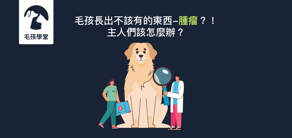 毛孩長出不該有的東西－腫瘤？！飼主們該怎麼辦？