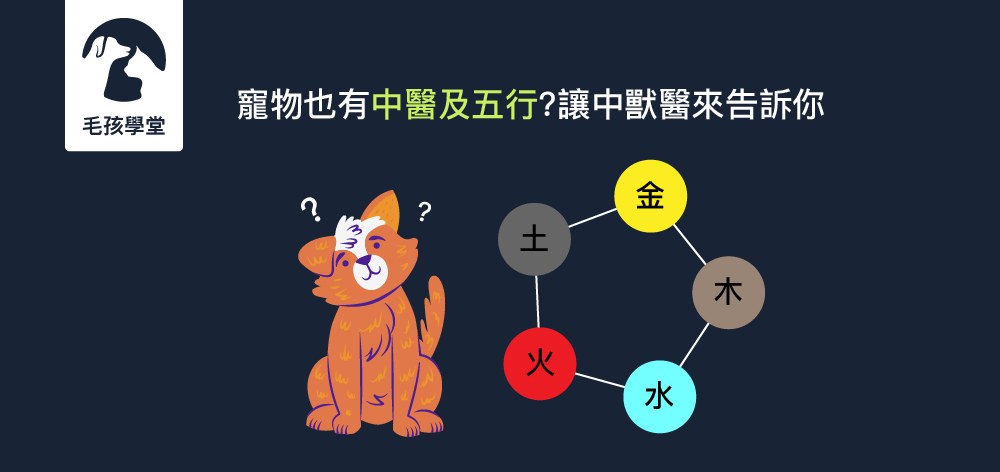 寵物也有中醫及五行?讓中獸醫來告訴你！