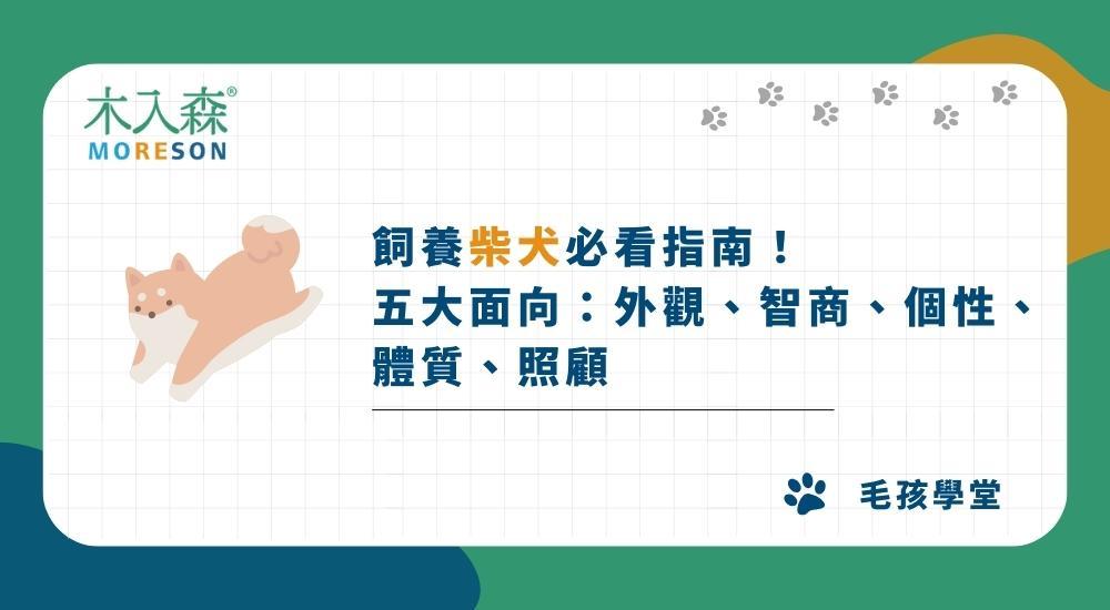 2026飼養柴犬必看！五大面向：外觀、智商、個性、體質、照顧