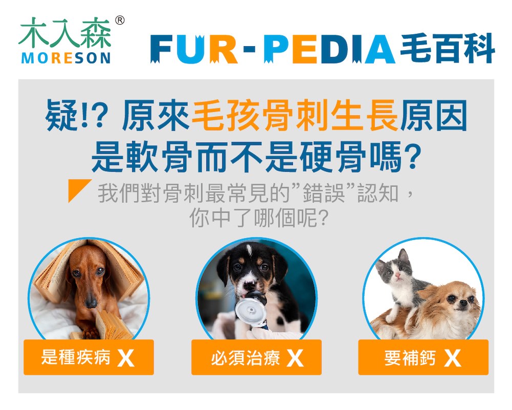 疑!? 原來毛孩骨刺生長原因是軟骨而不是硬骨嗎?