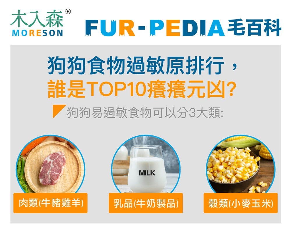狗狗食物過敏原排行，誰是TOP10癢癢元凶？