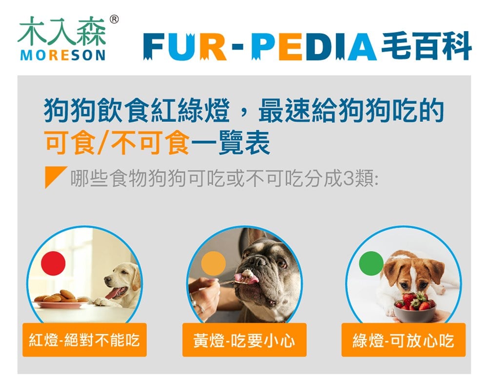 狗吃巧克力？狗狗不能吃什麼？精選常見的37種食物！