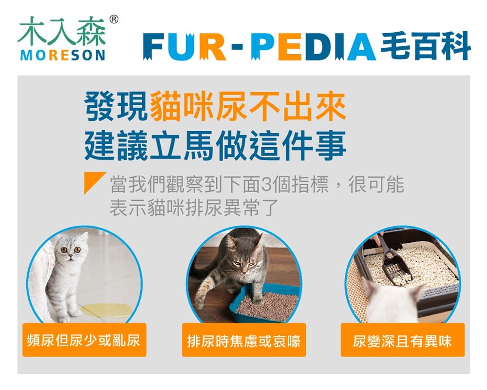 發現貓咪尿不出來？用這「5」個步驟判斷原因、症狀、預防復發方法。