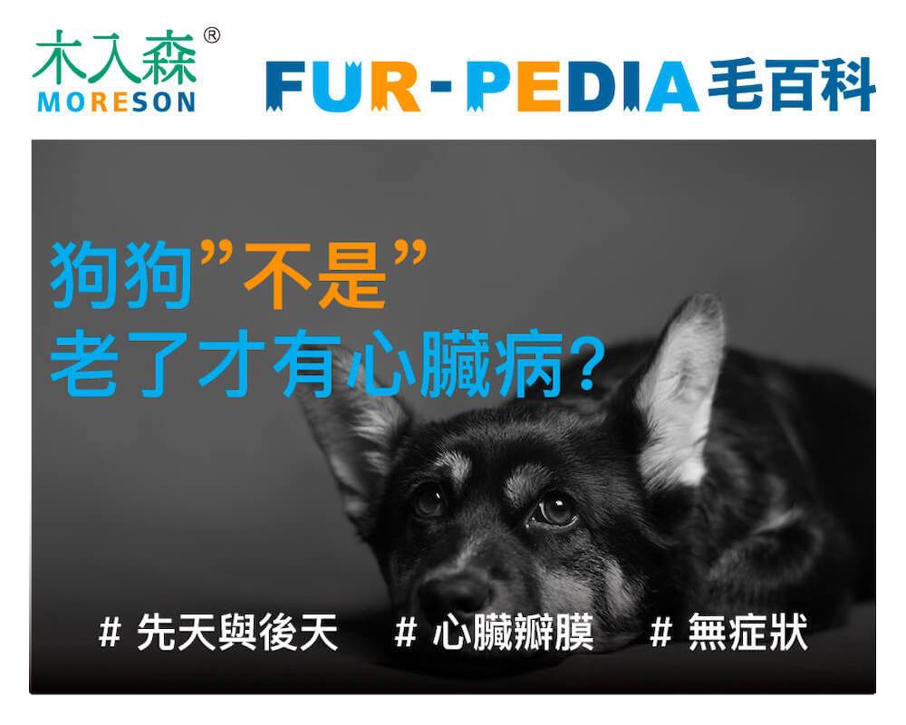狗狗”不是”老了才有心臟病？