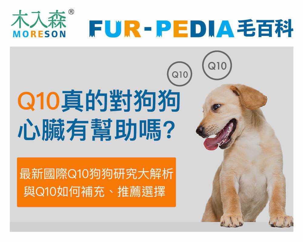 Q10真的對狗狗心臟有幫助嗎？