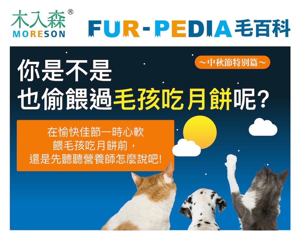 你是不是也偷餵過毛孩吃月餅