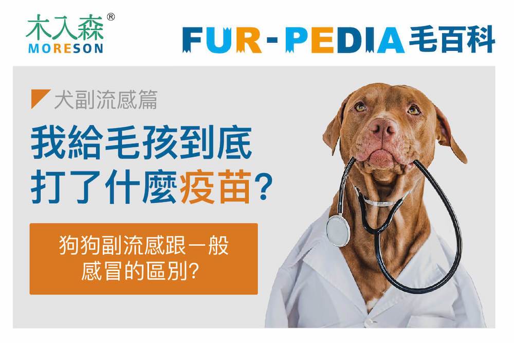 我給毛孩到底打了什麼疫苗？《犬副流感篇》