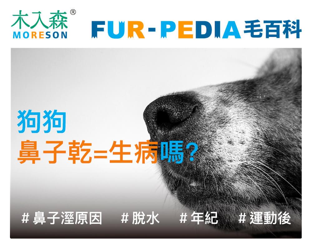 狗狗”鼻子乾=生病”嗎?