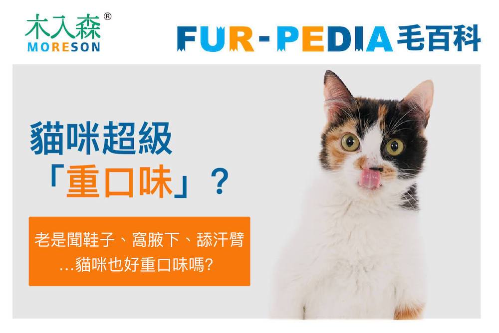 貓咪超級「重口味」?