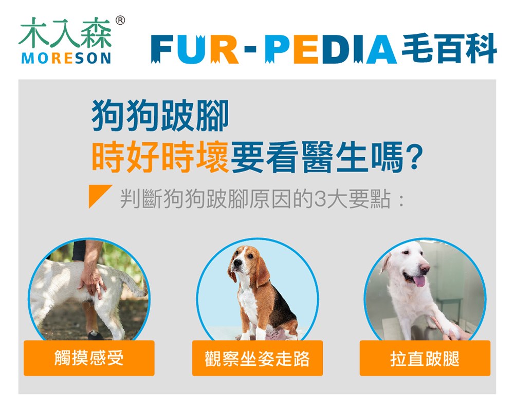 狗狗跛腳會自己好嗎？時好時壞怎麼辦？