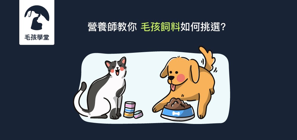 營養師教你毛孩飼料如何挑選?