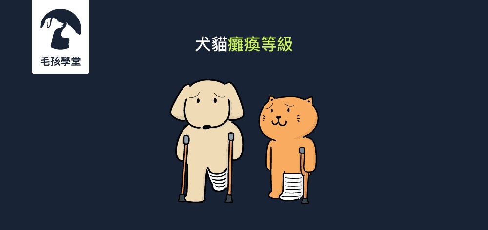 犬貓癱瘓等級